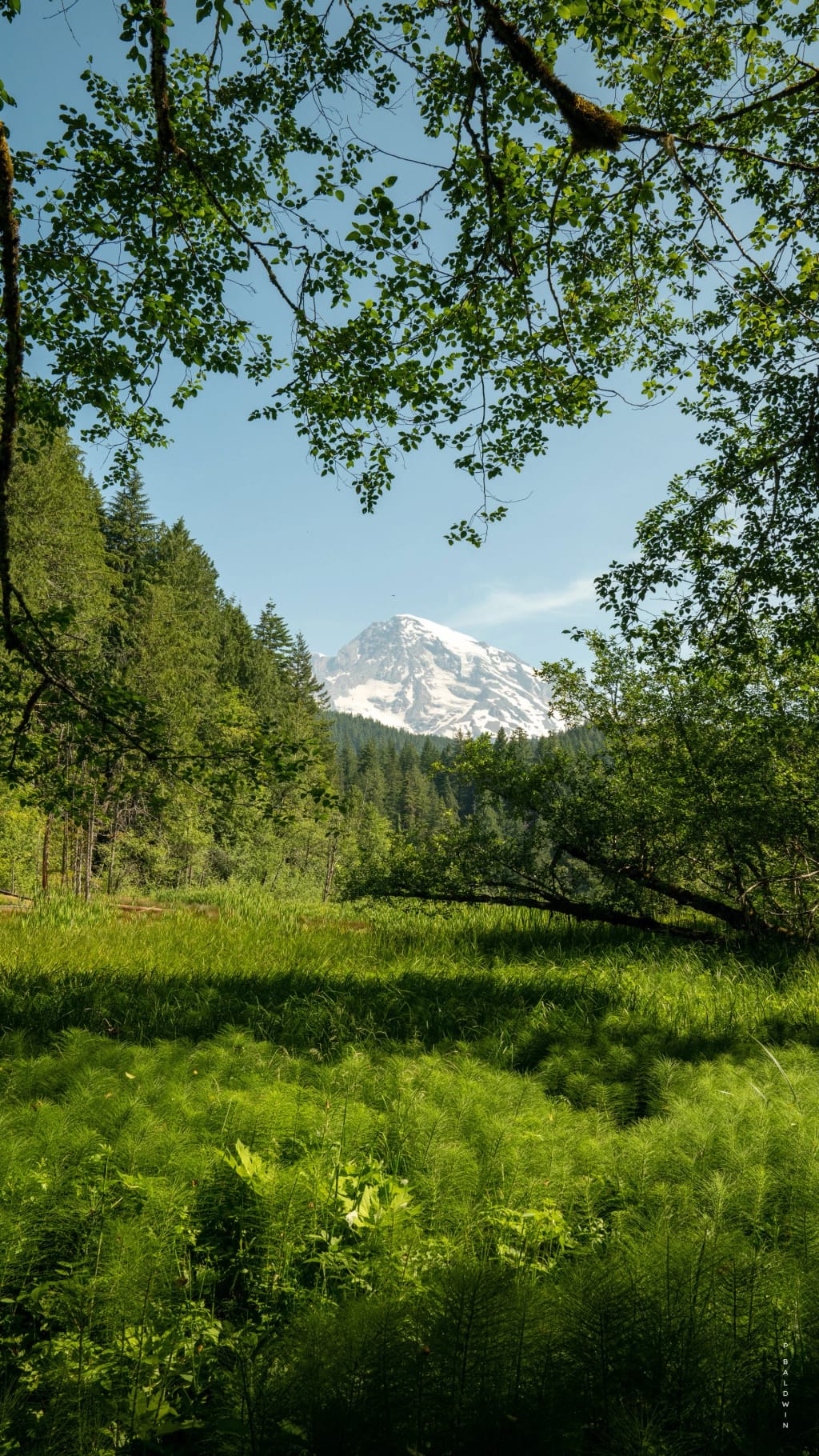 ALTITUDE25.JPG