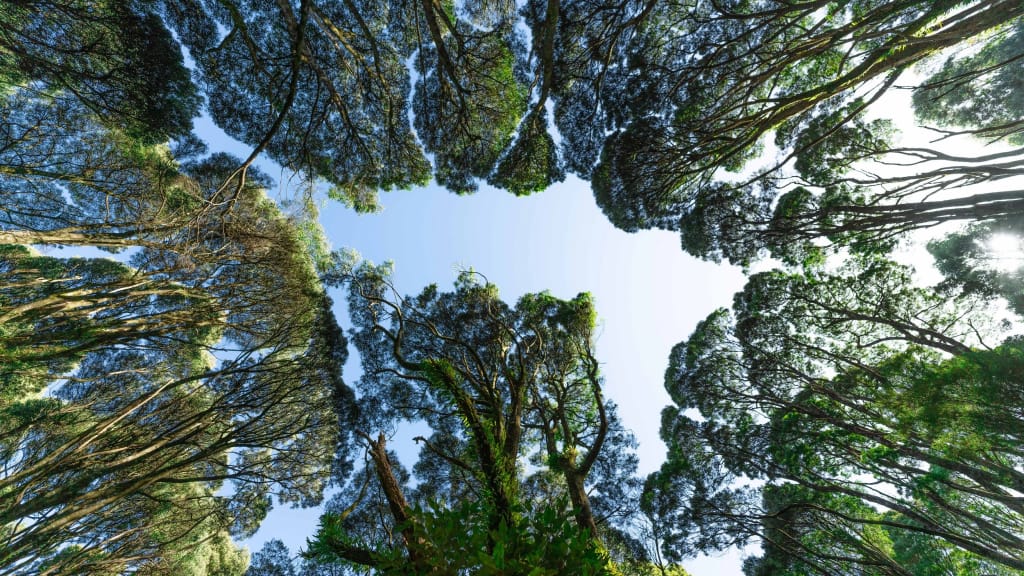 FERNSANDFJORDS06.JPG