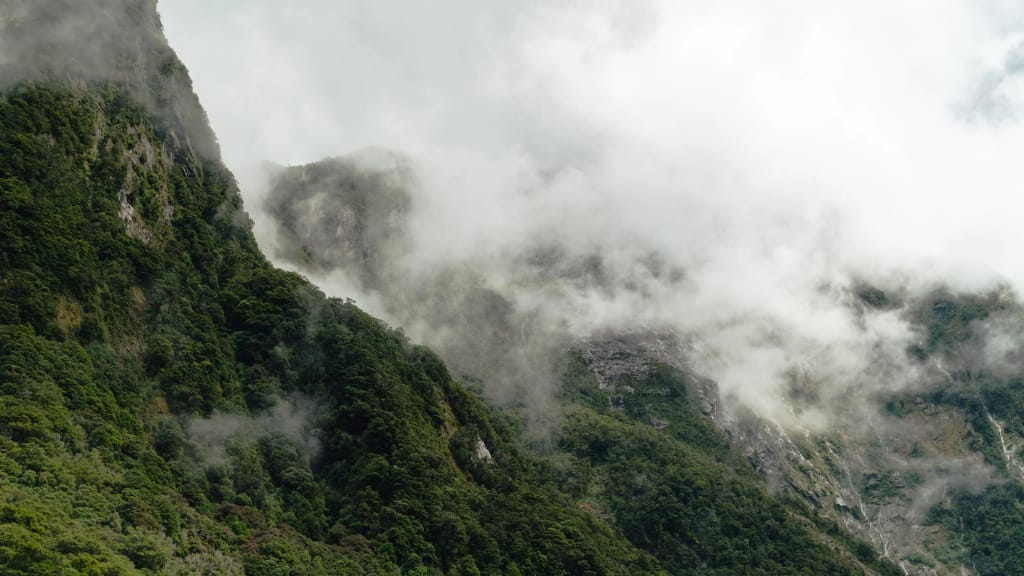 FERNSANDFJORDS10.JPG
